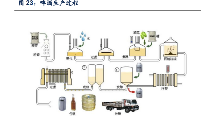 青岛啤酒集团（青岛啤酒研究报告）