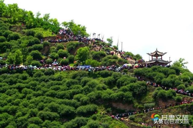 定西有什么特产，甘肃省定西十大特产（定西只有宽粉和土豆）