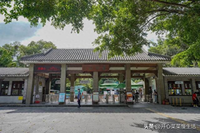 广东肇庆鼎湖山列广东四大名山之首，山上有只大鼎，鼎里有什么？