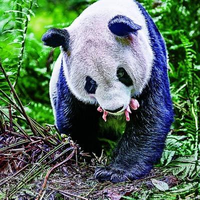 华南是指哪些地方，华南地区包括哪几个省（华东是这么来的）