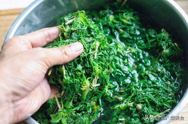 季菜饺子的做法，季季菜鸡蛋饺子怎么做（馅料鲜嫩不干巴）