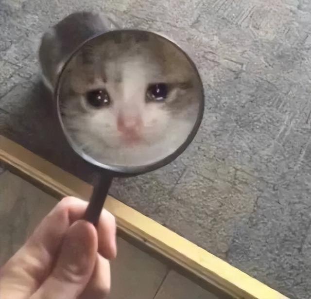 车险怎么和业务员砍价，车险怎么和业务员砍价呢（不同公司车险报价为什么差几百）