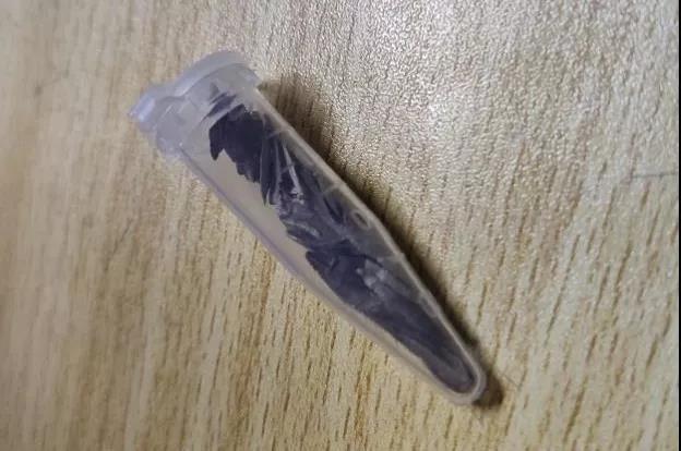 美容养生学校哪里好（穿越）