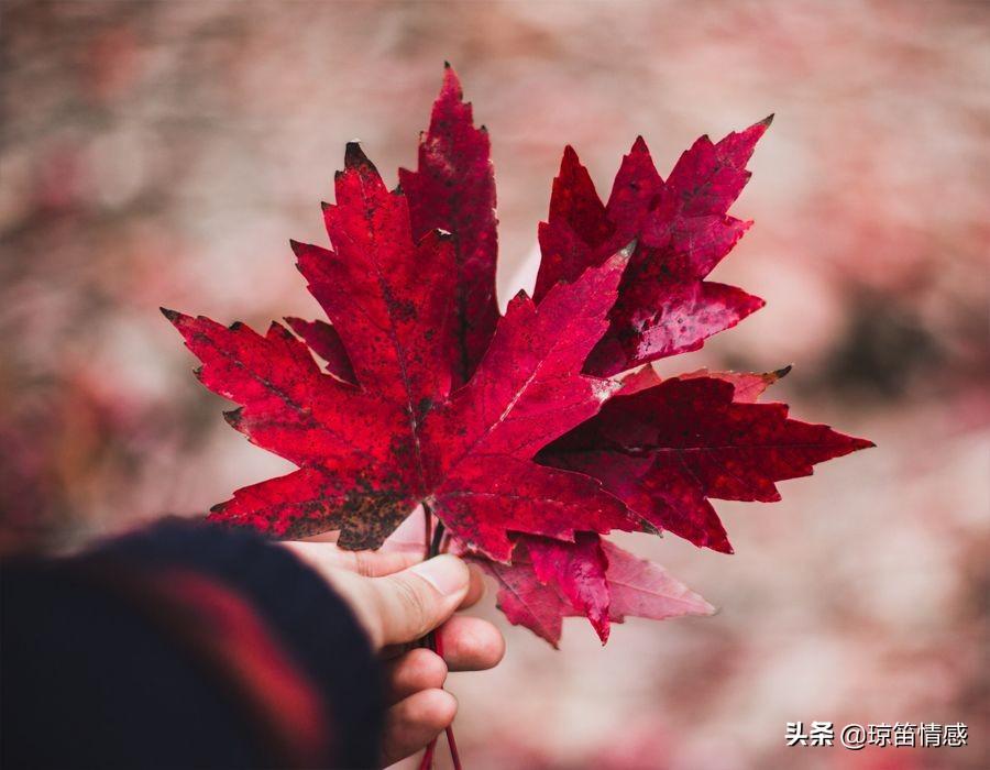 离婚需要孕检证明吗（就因为没婚检）