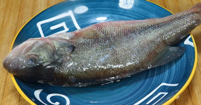 清蒸鲈鱼正宗做法，清蒸鲈鱼的做法最正宗的做法（清蒸鲈鱼的做法 家常的做法）