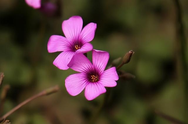 转运前一年会特别倒霉，换大运前一年必有大事（多半要扛过这几件倒霉的事）