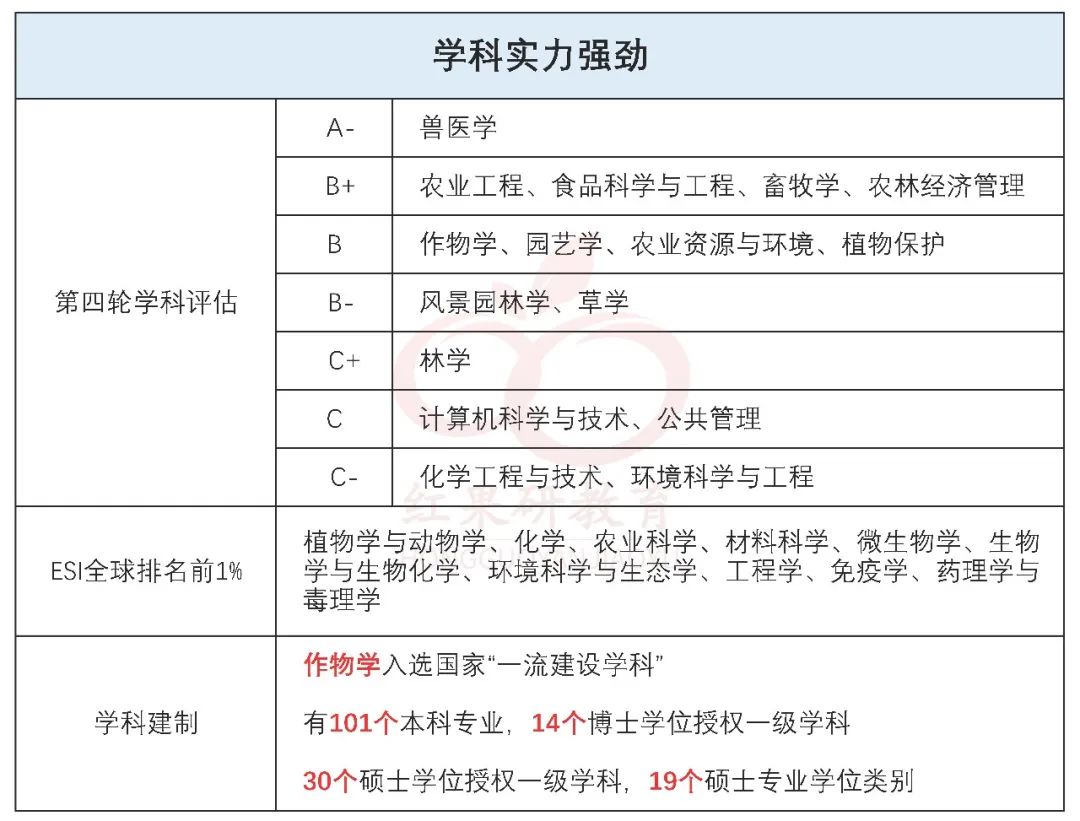 考上双一流（这所新晋双一流，迎来报考小高峰）