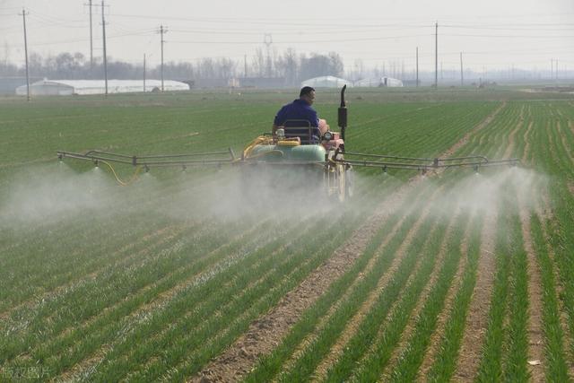 除草新方法，除草有效方法及具体操作（尿素+食盐真的能除草吗）