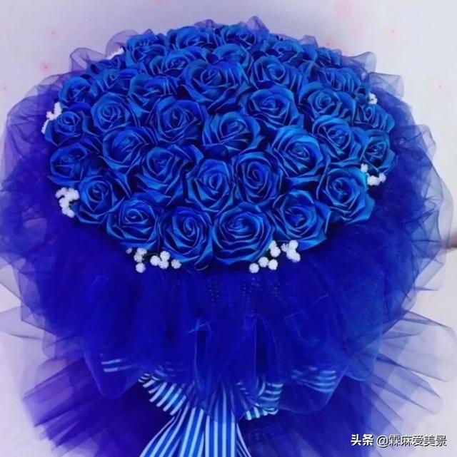 蓝色妖姬花语，分享图片—醉美的蓝色妖姬（蓝色妖姬花语文案）