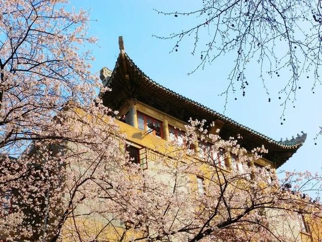 美术生可以报考的大学，美术生可以报考的大学有哪些（美术生要是考了这10所院校）