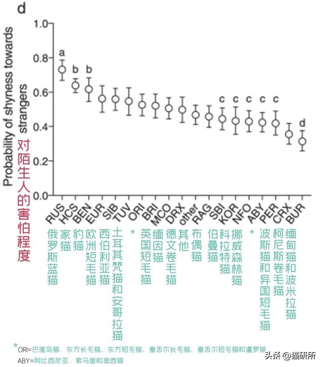 生肖牛的性格特征大盘点，十二生肖牛性格特点（社牛猫咪的6个行为特征）