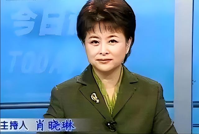 cctv主持人，最美cctv主持人（央视再也见不到的4位主持人）