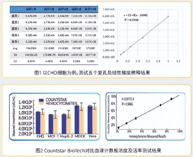 死亡细胞2细胞怎么过，死亡细胞二细胞（小嗅找找丨怎么进行细胞计数）