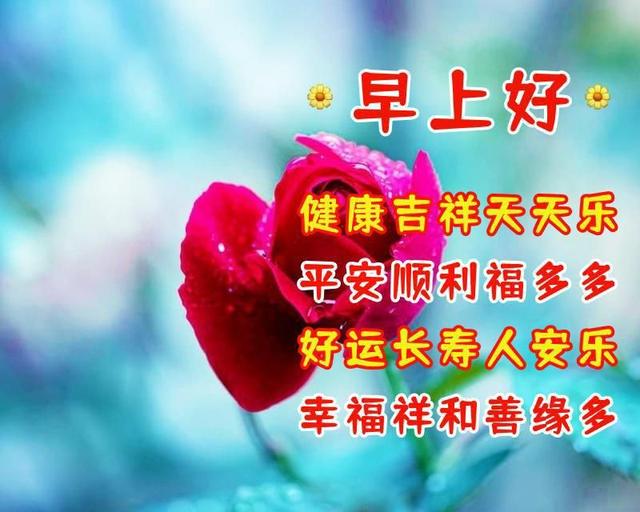 祝福词语四字词语,美好祝愿的四字词语(早上好吉祥祝福语)