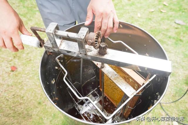 土特产店名，土特产店名一般叫什么（偶遇广东揭西县两位牛人）