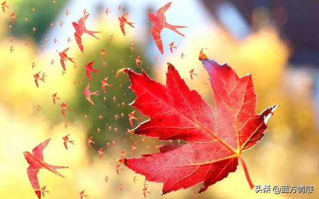 发现男人找小三怎么办，发现男人有小三该怎么办（分离小三方式出错导致男人二次出轨）