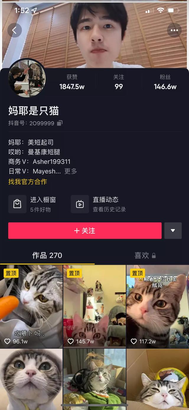 魔法哈奇怎么抓战宠，魔法哈奇怎么抓战宠视频（有一位以治愈系合集为主）