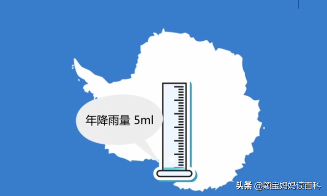 南极洲有哪些国家，南美有哪些国家（欧洲有哪些国家）