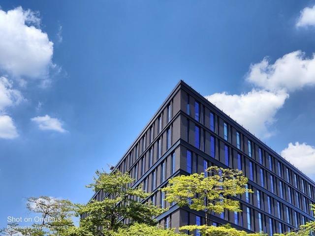 值得入手的一款手机推荐，高性价比手机怎么选