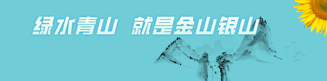 伊春市：青山绿水映，朗乡花海香