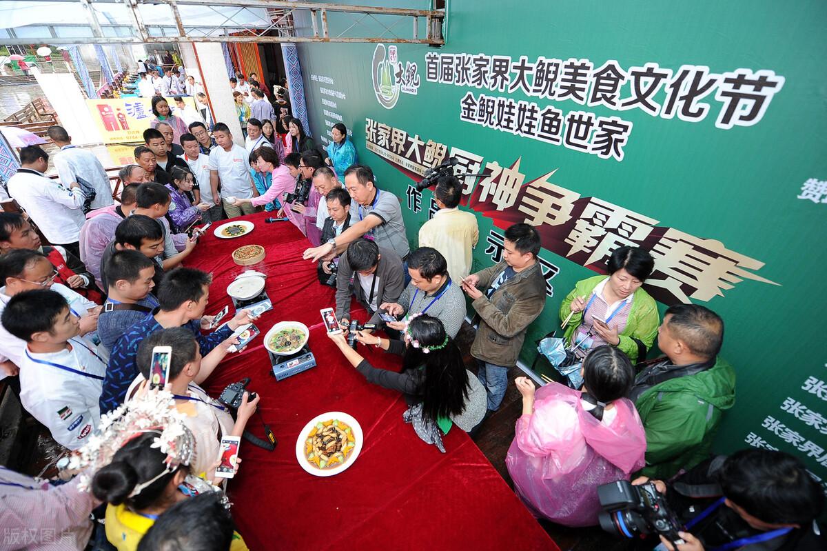 被遗弃的娃娃鱼：孤独游弋在陌生水域的生命呼唤