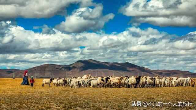 国内旅游景点推，国内旅游景点推荐（中国最适合带父母出游的20个地方）