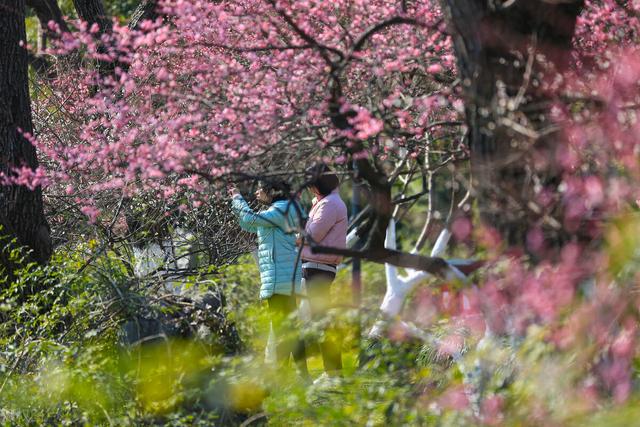 宁波旅游攻略景点必去，宁波旅游攻略三日游（宁波冬天必打卡的7个地方）