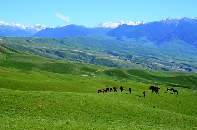 七八月份国内最佳旅游地方，七八月份国内最佳旅游地方溜娃（到这10个最佳旅游胜地）