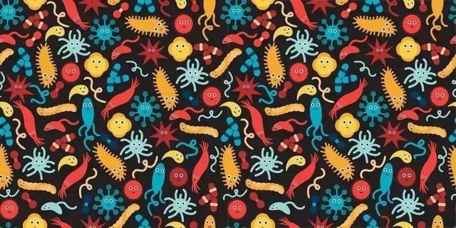 dys是什么意思，dys是什么意思医学（肠道不好为什么容易引发一身病）