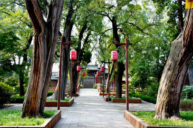 韩城本地特色美食，韩城市特产美食（韩城春游记）