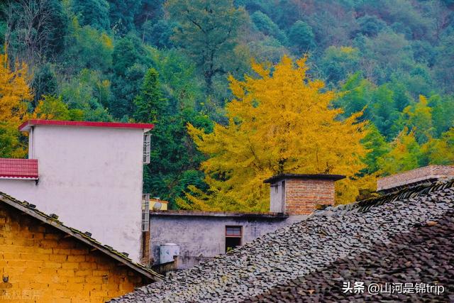 适合老人去的旅游胜地，适合老人去旅游的胜地有哪些（这些地方必须给长辈们安排上）