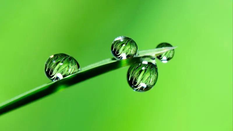 保护眼睛的桌面壁纸，经常对着电脑眼睛疼怎么办（保护眼睛从我做起…）