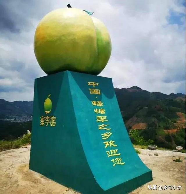 蜂糖李适合什么地区种植，蜂糖李好种吗（蜂糖李被誉为“李中贵族”）