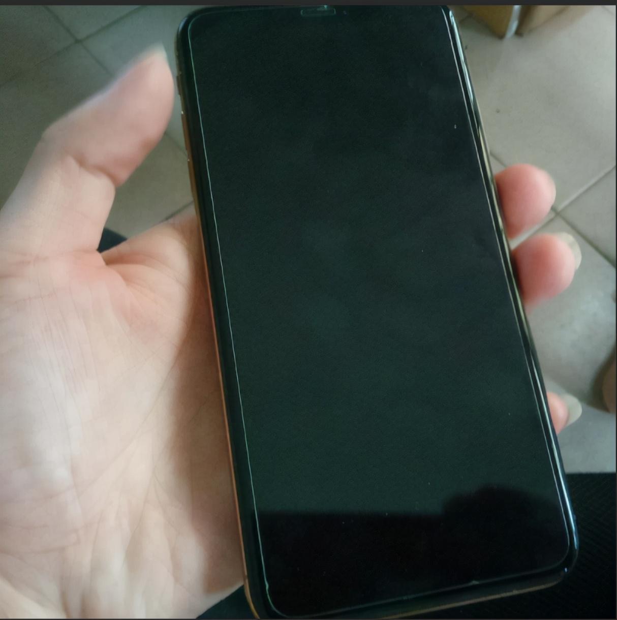 苹果12黑屏看不见但有反应怎么办（iPhone12黑屏解决方法）