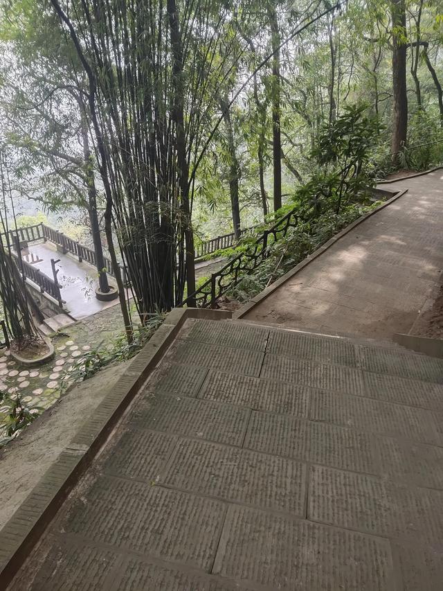 歌乐山森林公园，重庆旅游必去景点（歌乐山国家森林公园）