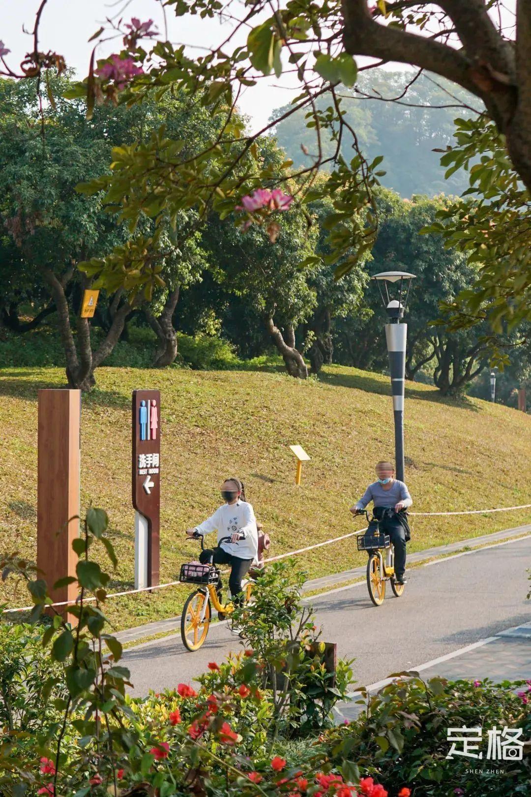 宝安中心地铁站(宝安客运中心附近地铁站)