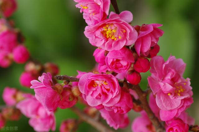 情人祝福语最温馨的短语话，最暖心的情人祝福语简短（写给心里的爱人：身边无你）