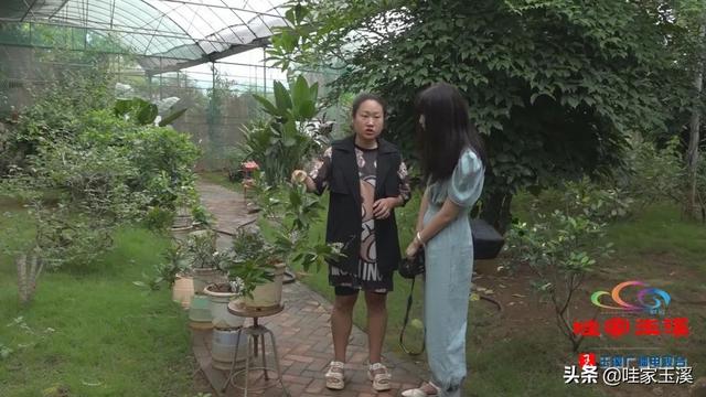 蝴蝶的家在哪里，蝴蝶的家在哪里呀正确答案（“元江籍”蝴蝶在这里繁育）