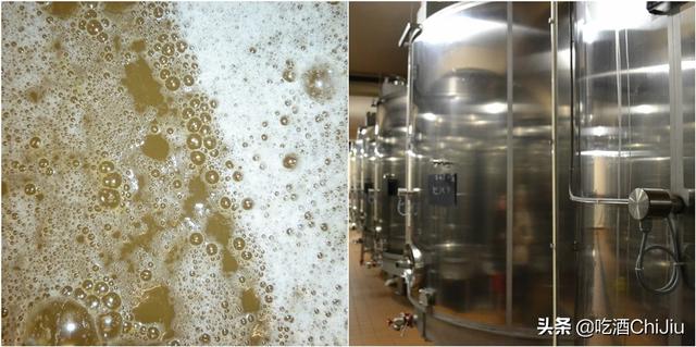 香槟和红酒的味道一样吗，香槟和葡萄酒味道一样吗（“香槟”跟“起泡酒”）