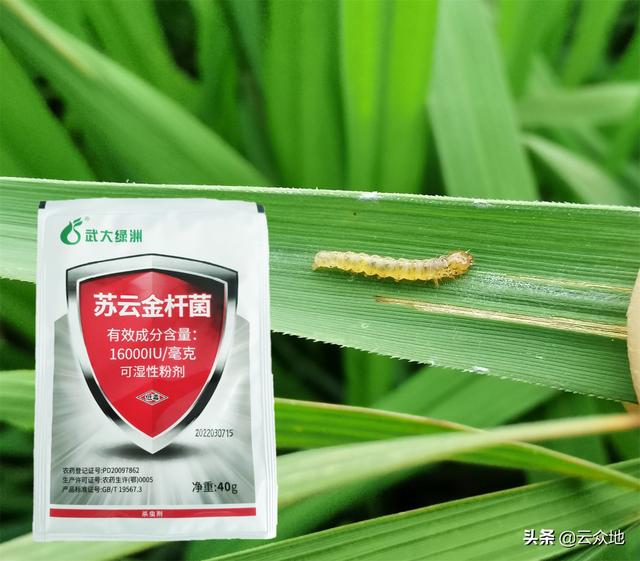 嘧啶核苷类抗菌素，这个药具有超强抑病菌作用（水稻种植能使用的生物农药总结）