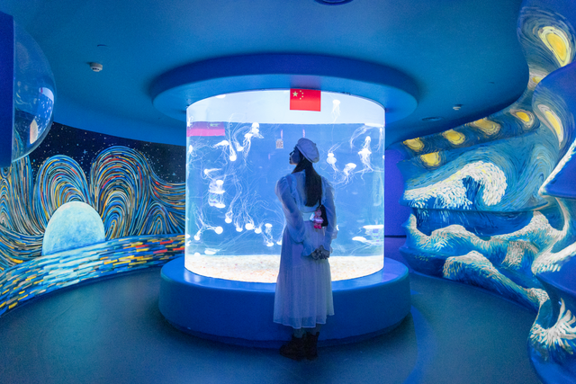 深圳海洋世界攻略，海洋馆、水秀剧场、梦幻巡游…在这里全都有