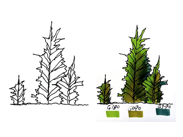 大树的画法简单又漂亮，简单大树的手绘画法（八种超简单背景树的画法+上色）