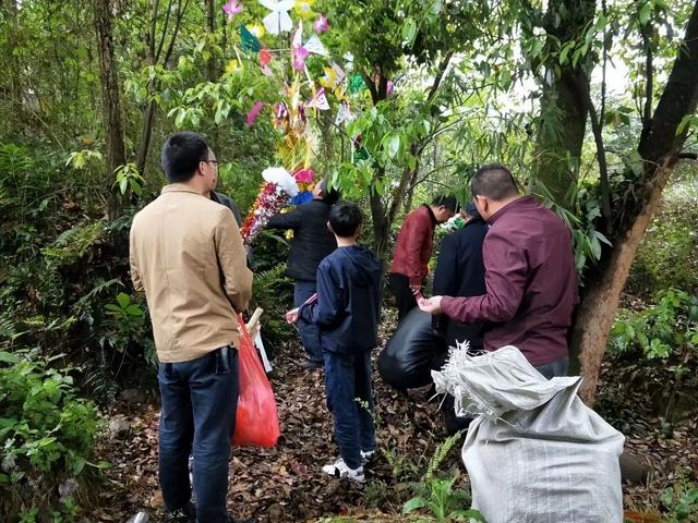 清明节什么时候，2023年的清明不一般