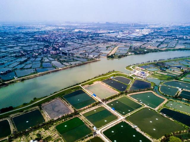 明朝桂王是谁，明朝桂王世系（一部隐秘的南中国史）