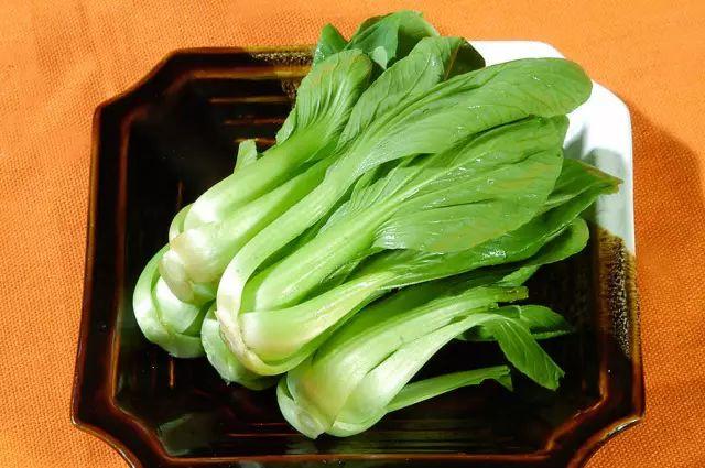 绿叶菜有哪些品种，绿叶蔬菜的营养价值（种常见绿叶菜，你吃对了吗）