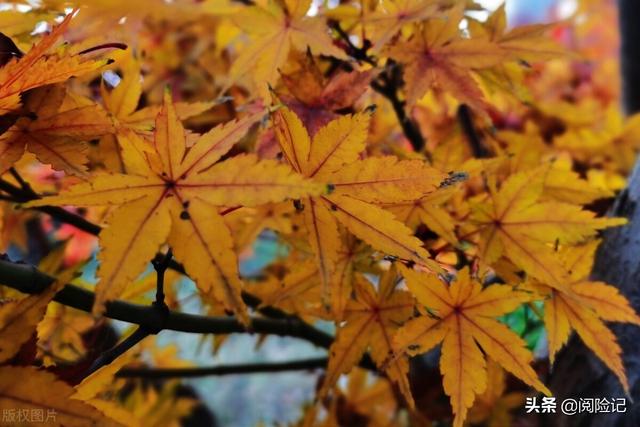 社保缴费计算方法，社保缴费比例计算方法是什么（2021年社保缴费公司和个人各交多少）