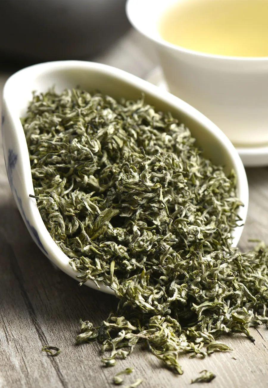 绿茶都有哪些品种（中国十大顶尖绿茶排名）