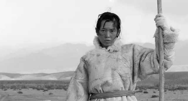 盘龙卧虎高山顶的演员，盘龙卧虎高山顶的演员是谁（把汤唯和蒋勤勤等女星放在一起）