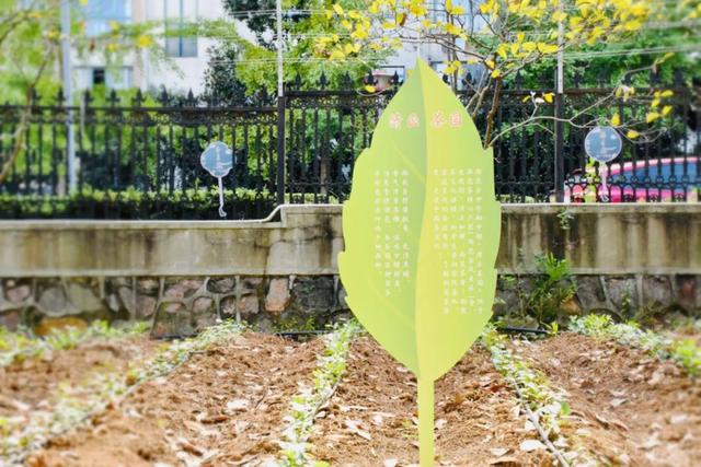 南京公办初中排名一览表，2021南京公办初中排名（不愧是南京南大门最强初中）