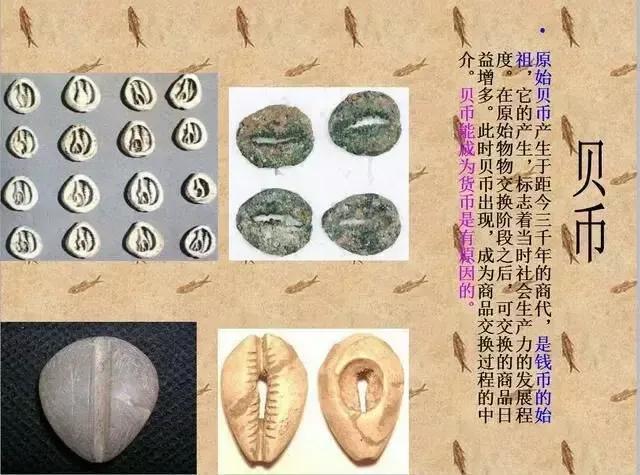 从古至今的钱币的顺序图片，从古至今的钱币顺序图（钱币发展图）